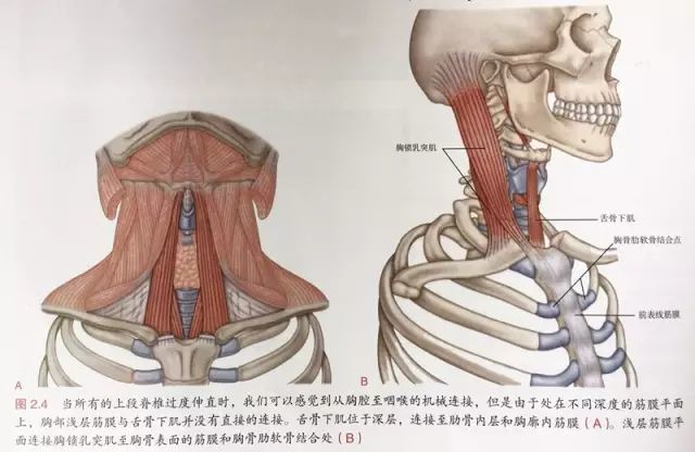 解剖列车学习笔记 Qtc Care
