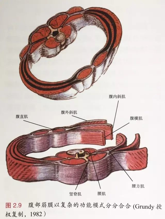 解剖列车学习笔记 Qtc Care