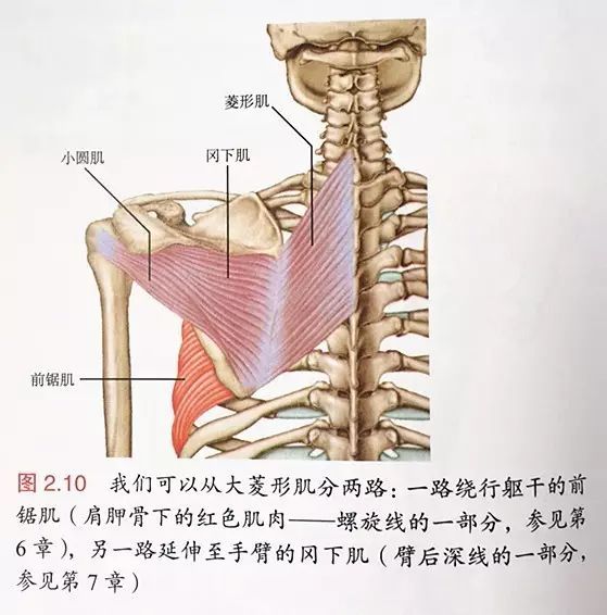 解剖列车学习笔记 Qtc Care