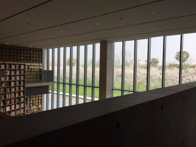 就在余杭良渚!高晓松的晓书馆开馆啦!你可以在