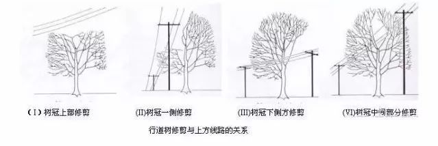 绿化植物养护的技术规范 腾讯新闻