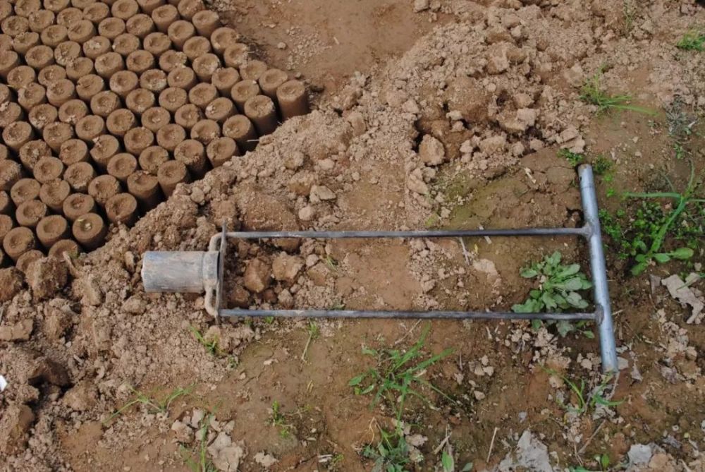 有一种农活叫"打营养钵",很多乡村长大的孩子都没干过