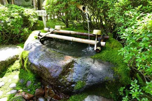 老外后院的池塘水景!