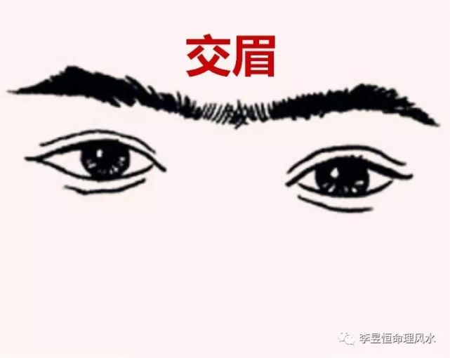 面相秘诀 眉毛锁印是非多 兄弟不和财难旺