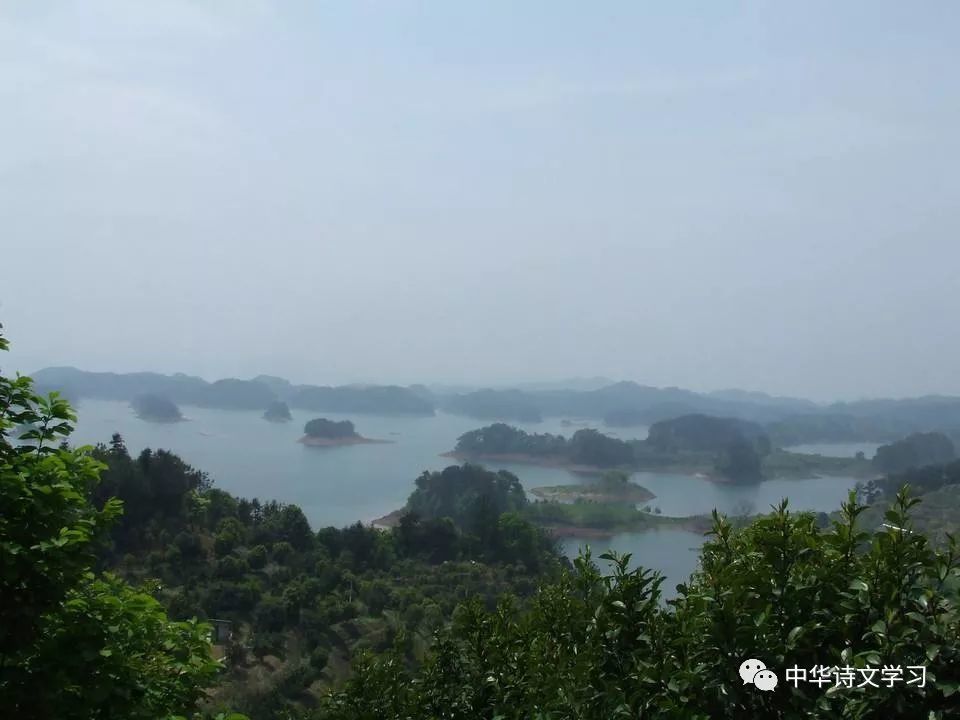 古诗词|古诗词中的夏日时光， 心静自然凉意生