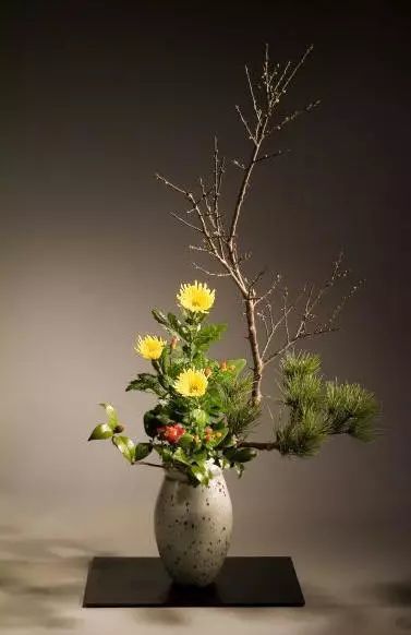 叶柄|花艺与铁丝设计技巧