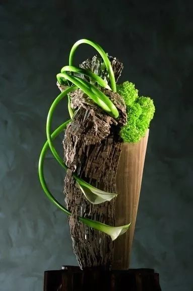 叶柄|花艺与铁丝设计技巧