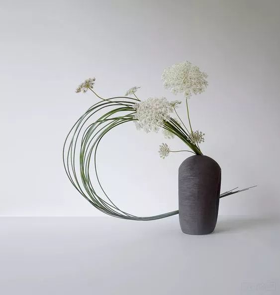 叶柄|花艺与铁丝设计技巧