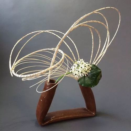 叶柄|花艺与铁丝设计技巧