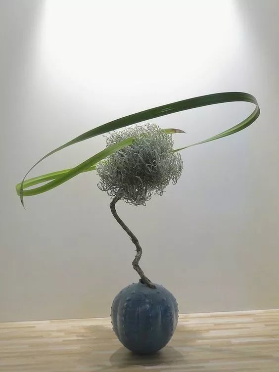 叶柄|花艺与铁丝设计技巧