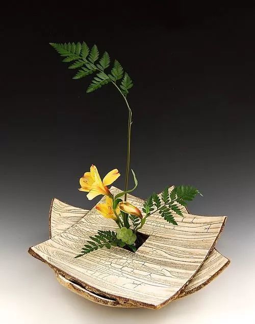 叶柄|花艺与铁丝设计技巧