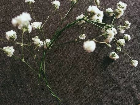 叶柄|花艺与铁丝设计技巧