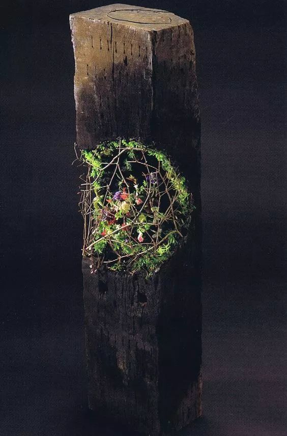 叶柄|花艺与铁丝设计技巧