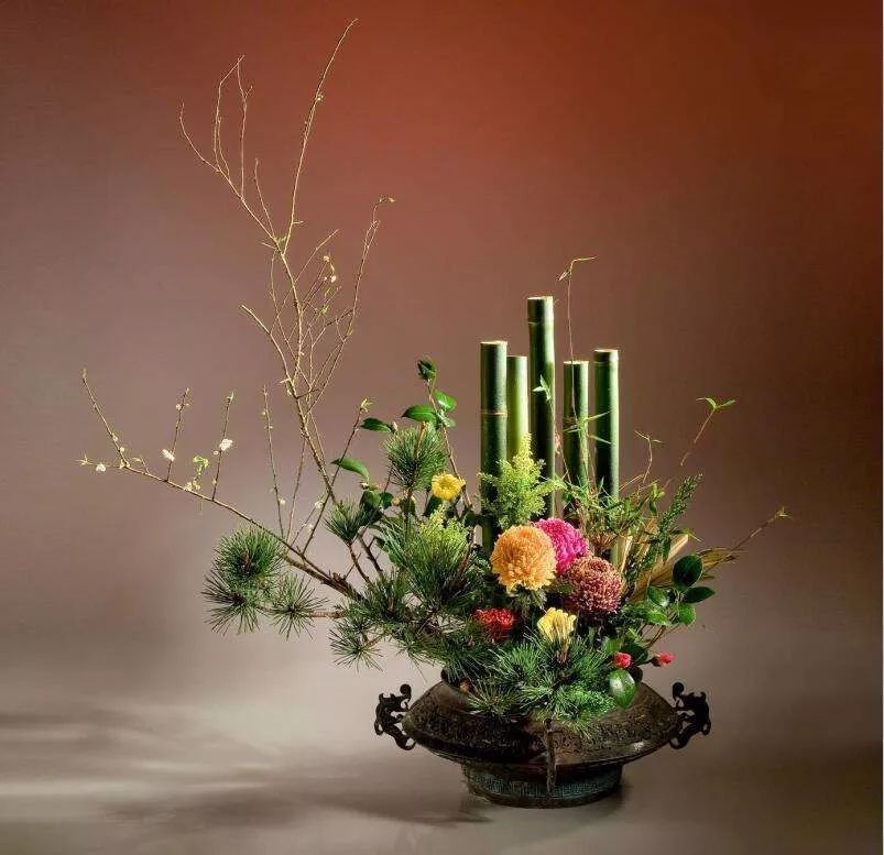 叶柄|花艺与铁丝设计技巧