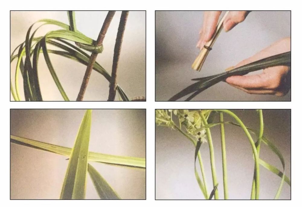 叶柄|花艺与铁丝设计技巧