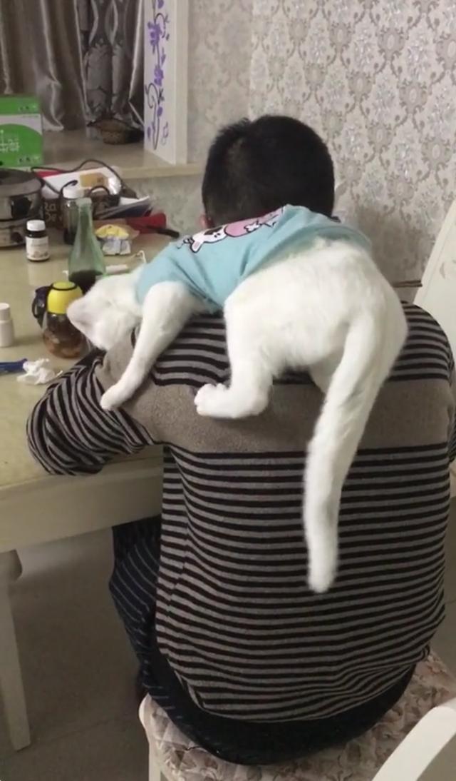 猫咪整天粘着男主人 对女主人爱理不理 女主人气炸了 猫咪 别打扰我们