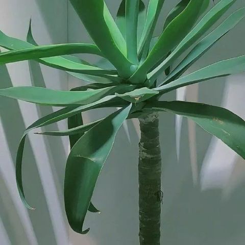 非常经典的语录