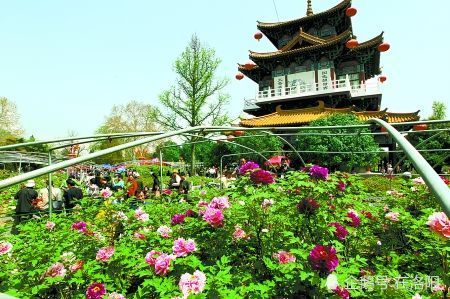 期間賞花,遊園,王城公園,隋唐城遺址植物園和中國國花園推出了優惠卡