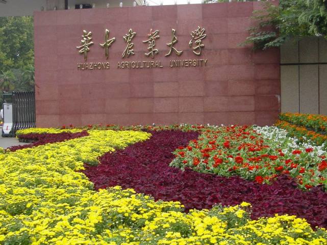 武汉大学农学院和湖北农学院的全部系科以及中山大学等6所综合性大学