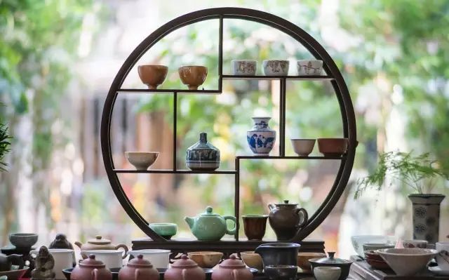 人与植物 园林景观中的常用木材种类 腾讯新闻