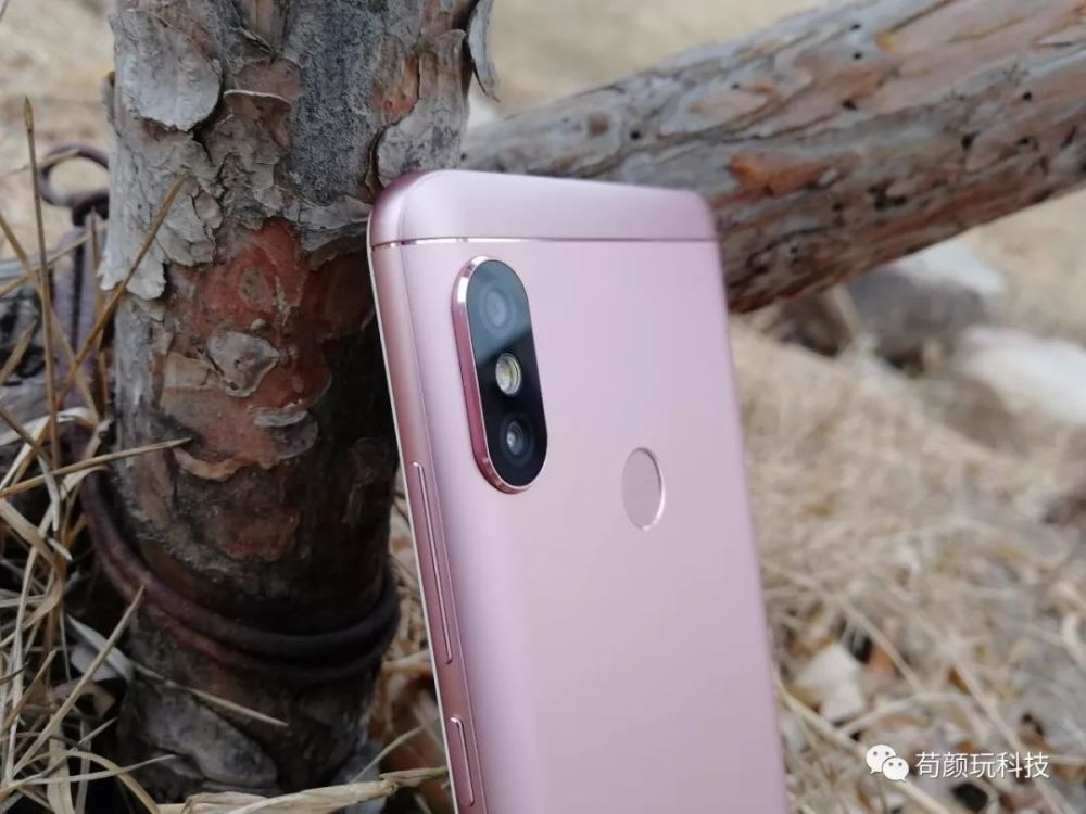 红米note5玫瑰金图赏,拍的垃圾,也许是拍照设备