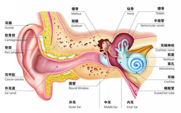 外耳道炎是什么 小孩子一般是怎么患病的 腾讯网