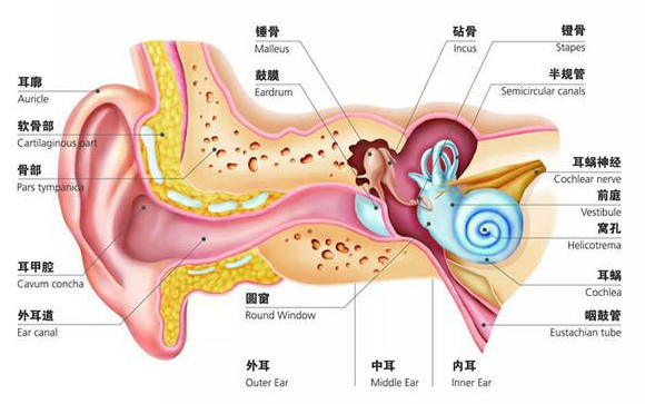 外耳道炎是什么 小孩子一般是怎么患病的