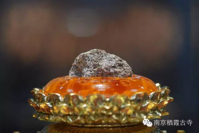 佛牙舍利中国陕西扶风县法门寺——佛指舍利 (一节中指指骨舍利)中国