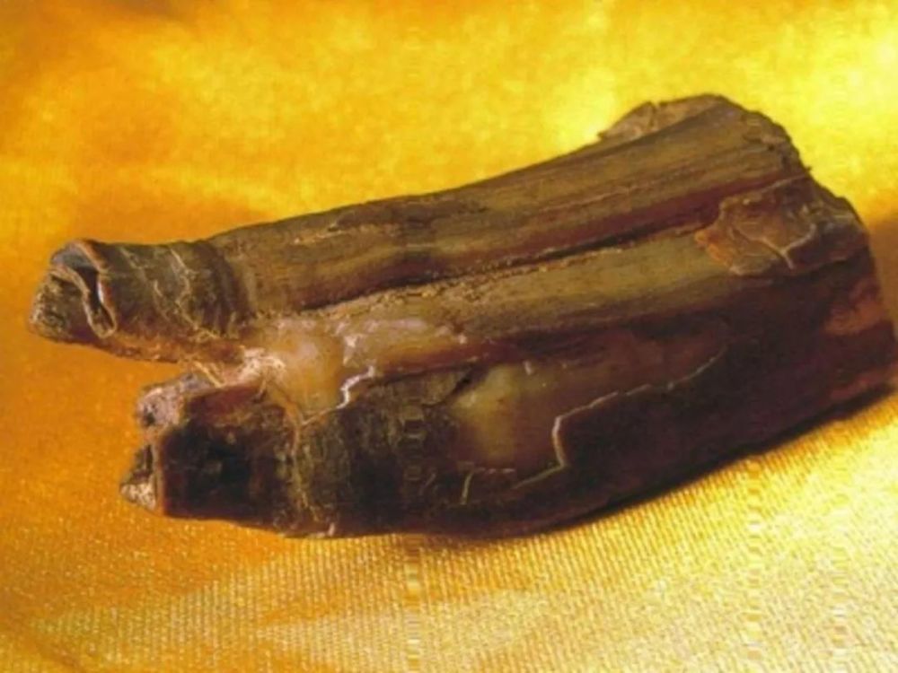 释迦牟尼佛涅盘后留下哪些舍利?见者获福!