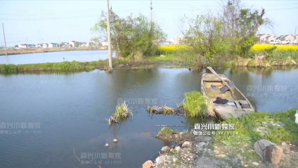 嘉兴王江泾河里漂着一男人 疑为电捕鱼出意外