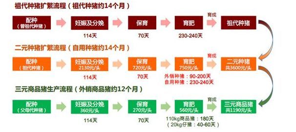 养殖成本构成