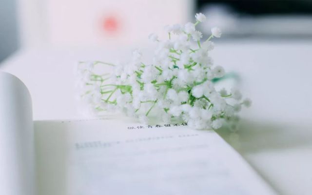 移民到塞浦路斯后悔死了,真实讲述华人在塞浦