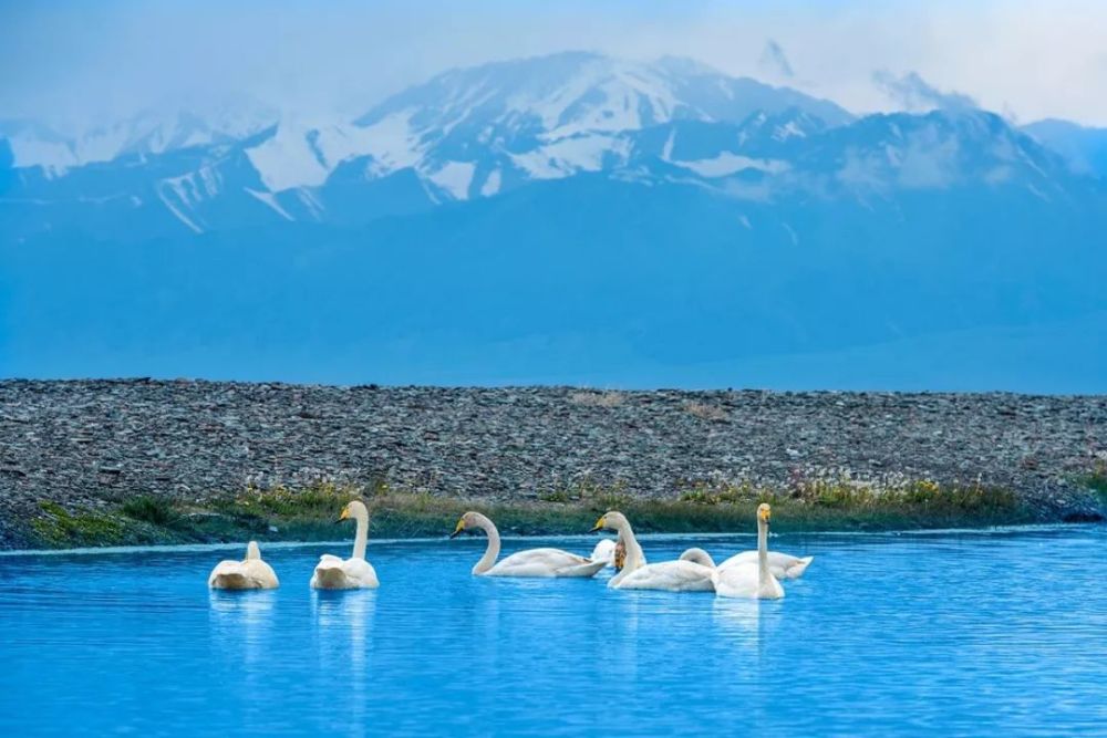 新疆|我亲身经历新疆，见到了别人不知道的真相