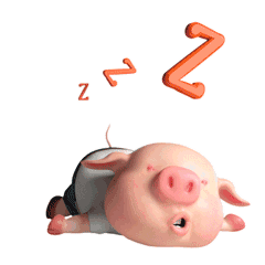 641