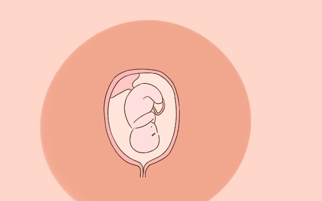 怀孕后,胎儿的各个发育阶段都是怎样的呢?看完