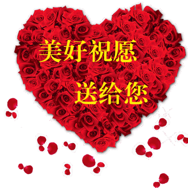 最美的祝福送给你 腾讯网