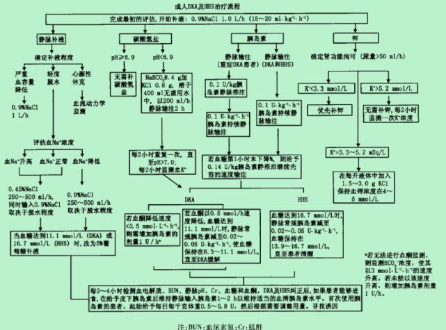 酮症酸中毒治疗复杂难记 Ada治疗路径图化繁为简 知乎