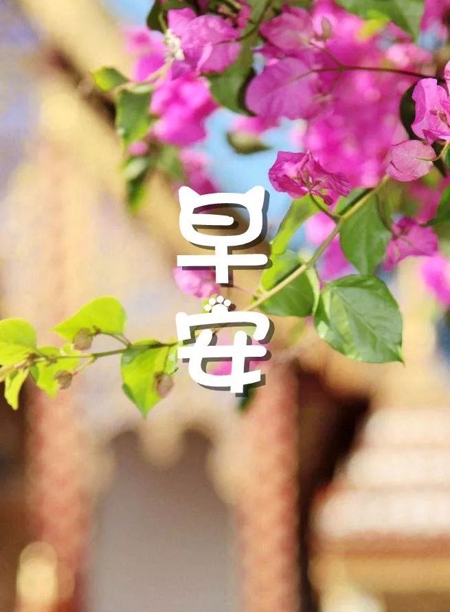 早安心语图片带字早安正能量鼓励语录