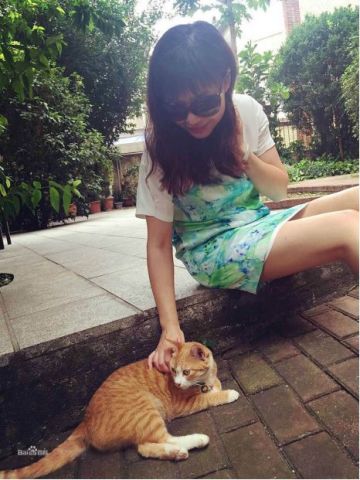 中国电视剧编剧TOP100口碑榜出炉!豆瓣9分的