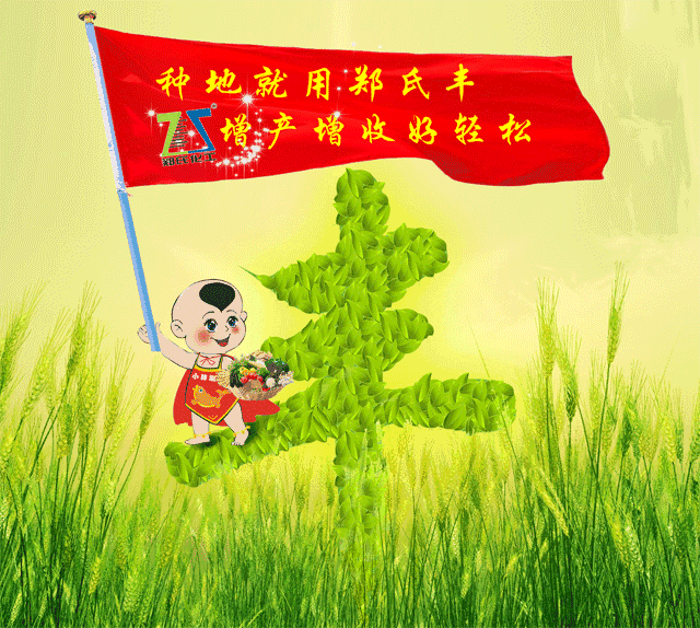 郑氏心语︱郑氏丰的独白