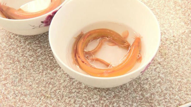 稀奇金黄色的泥鳅你见过吗