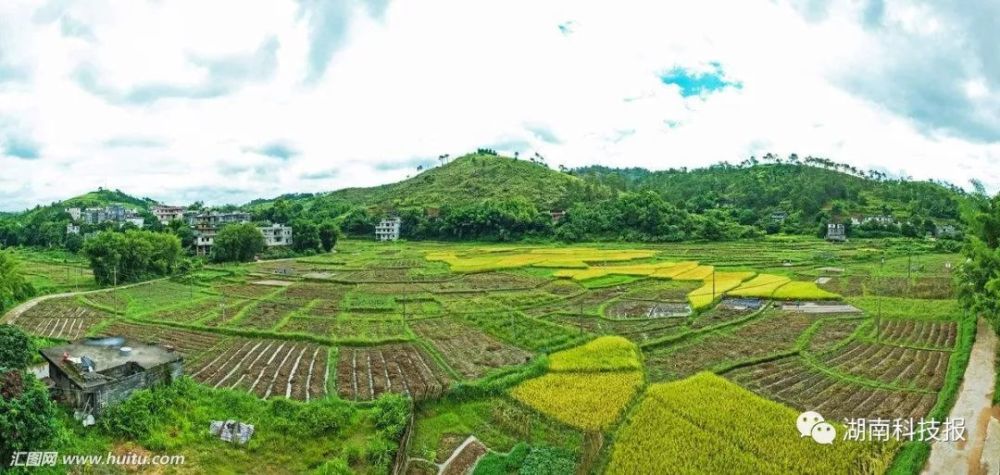 承包地互换后占地补偿款该归谁?承包户能否主