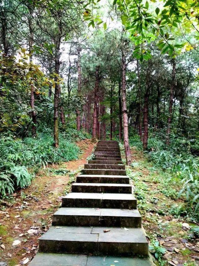 重慶這些登山步道,人少景好速來!