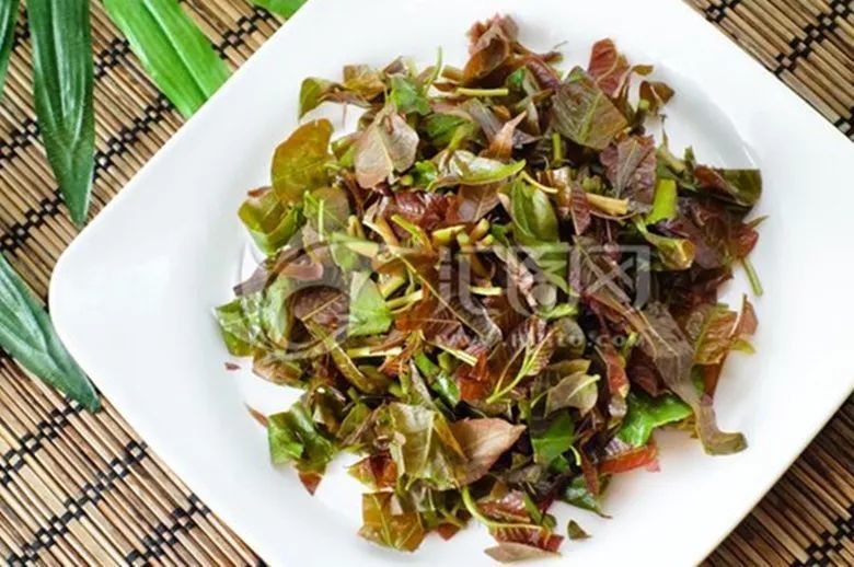 吃香椿的人99%都不知道,香椿有这个秘密!_腾讯新闻