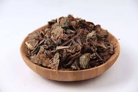 常见清热药——鱼腥草