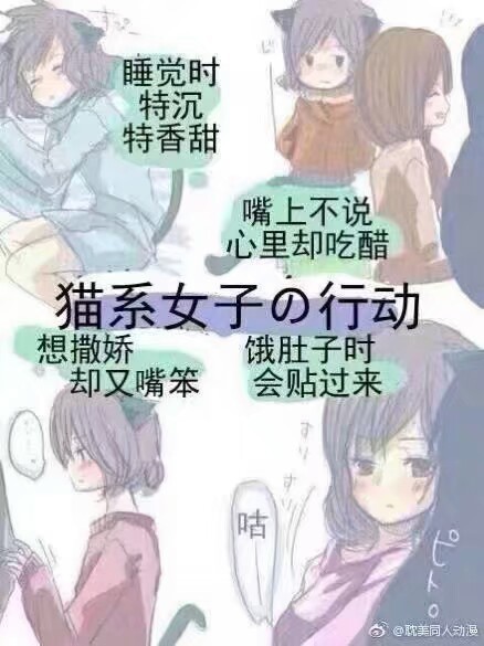 犬系 猫系 企鹅系 你是哪一类女孩子呢 但这一类女孩子就真的难找男朋友了