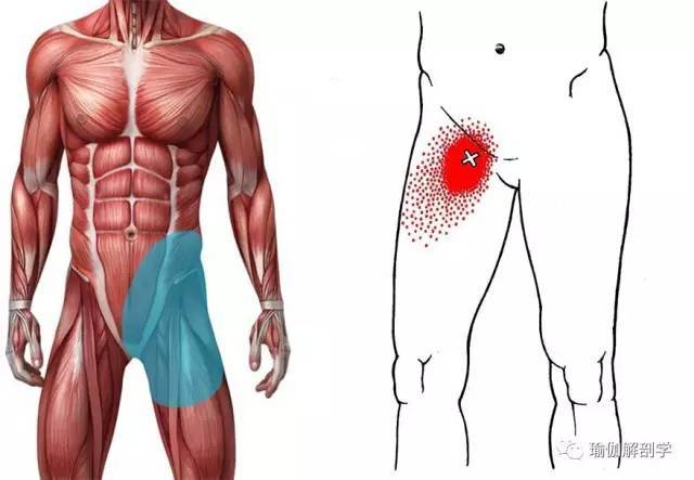 瑜伽初学者如何循序渐进打开腹股沟大腿前侧这套动作超级好用