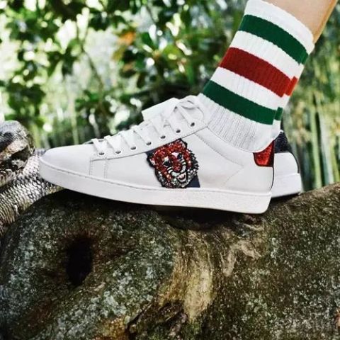 gucci小白鞋真假鉴别技巧 古驰小白鞋怎么看真假