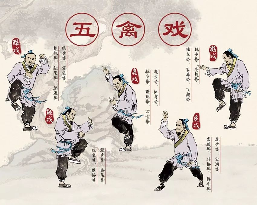 千古秘传的五禽戏,练好了相当于有了健康长寿的仙丹