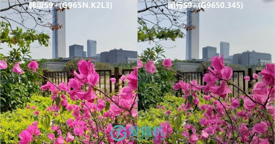 三星PK索尼CMOS双版S9+拍照对比:谁才是最